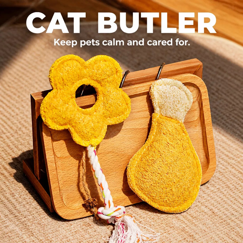 Natural Loofah Cat Toy with Catnip