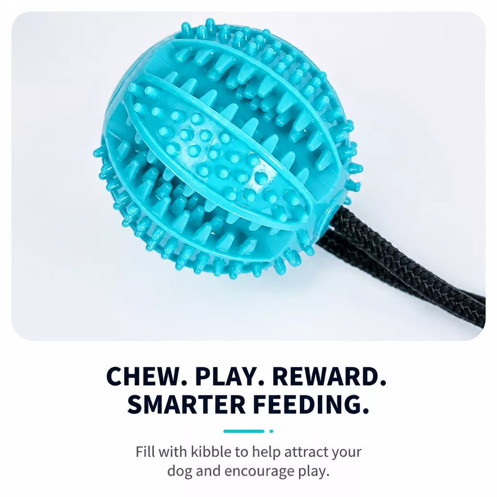 Suction Cup Treat-Dispensing Dog Toy