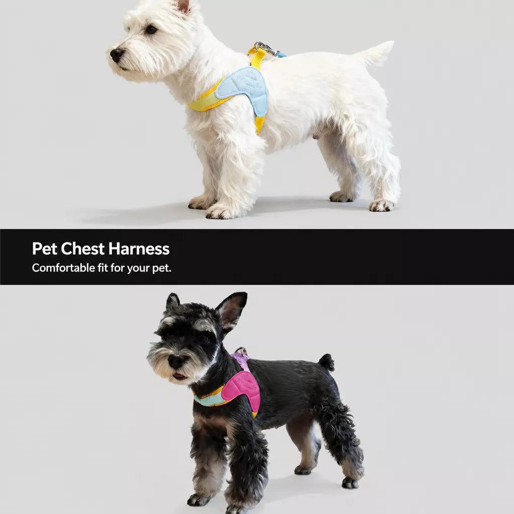 Y-Front Dog Harness with Matching Leash