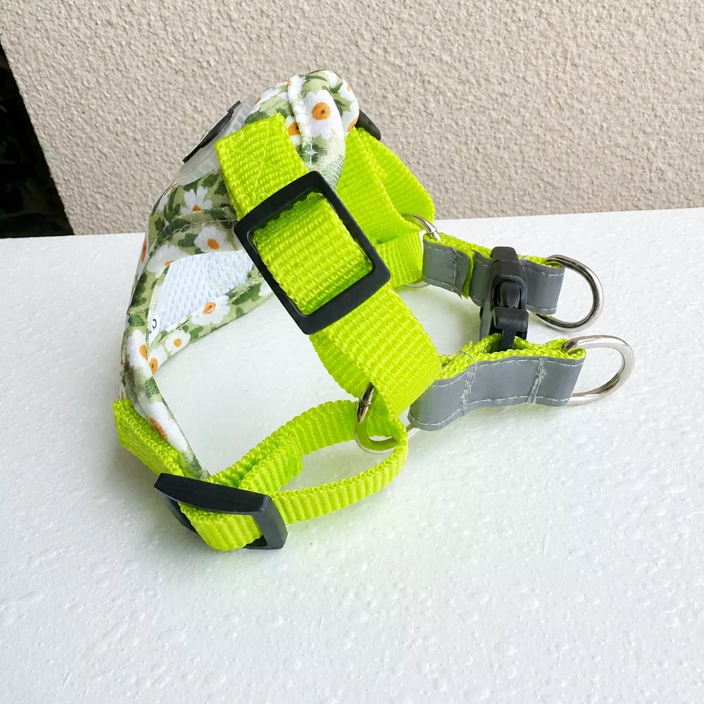 Reflective Nylon Vest Harness and Leash for Small Dogs & Cats