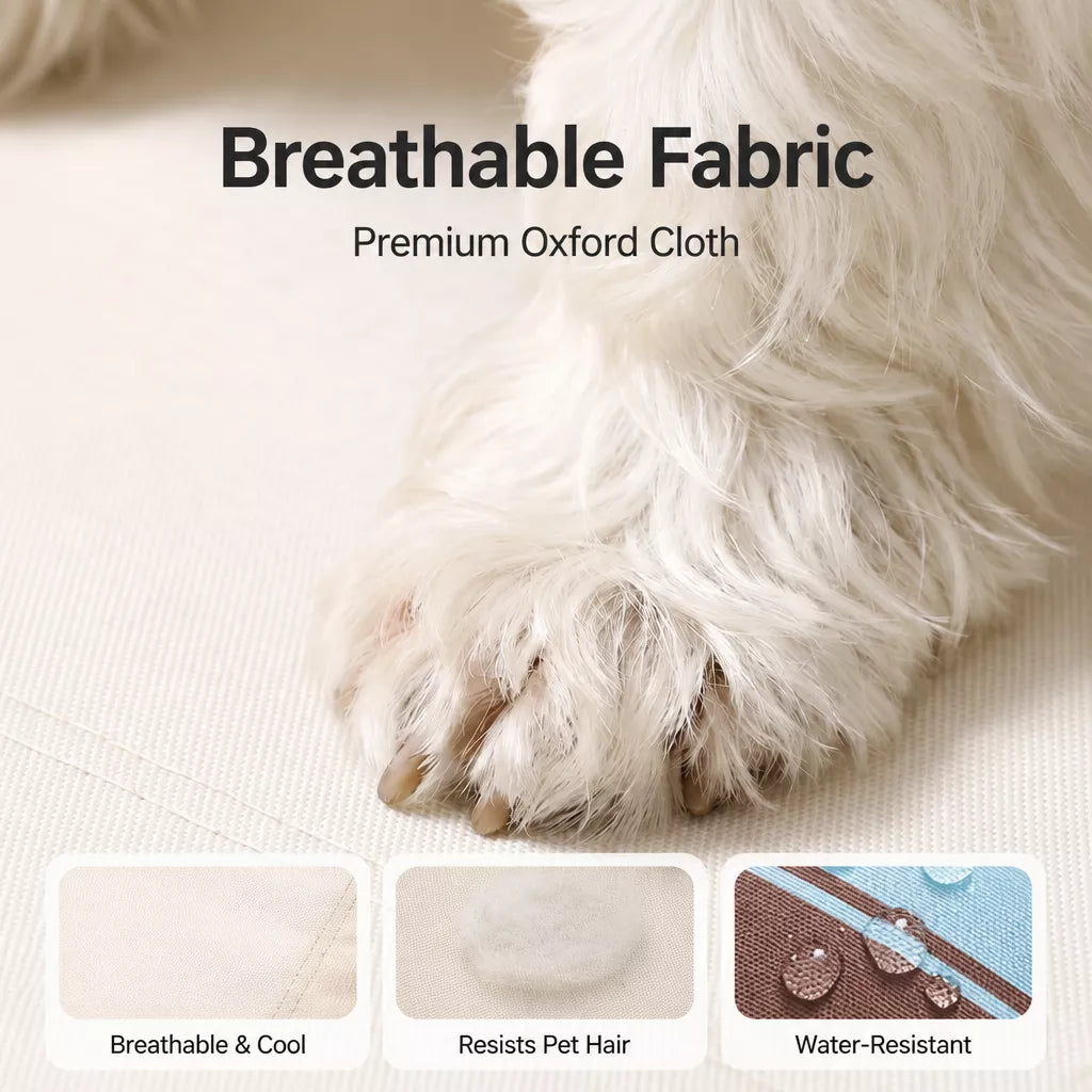 Elevated Waterproof Dog Bed