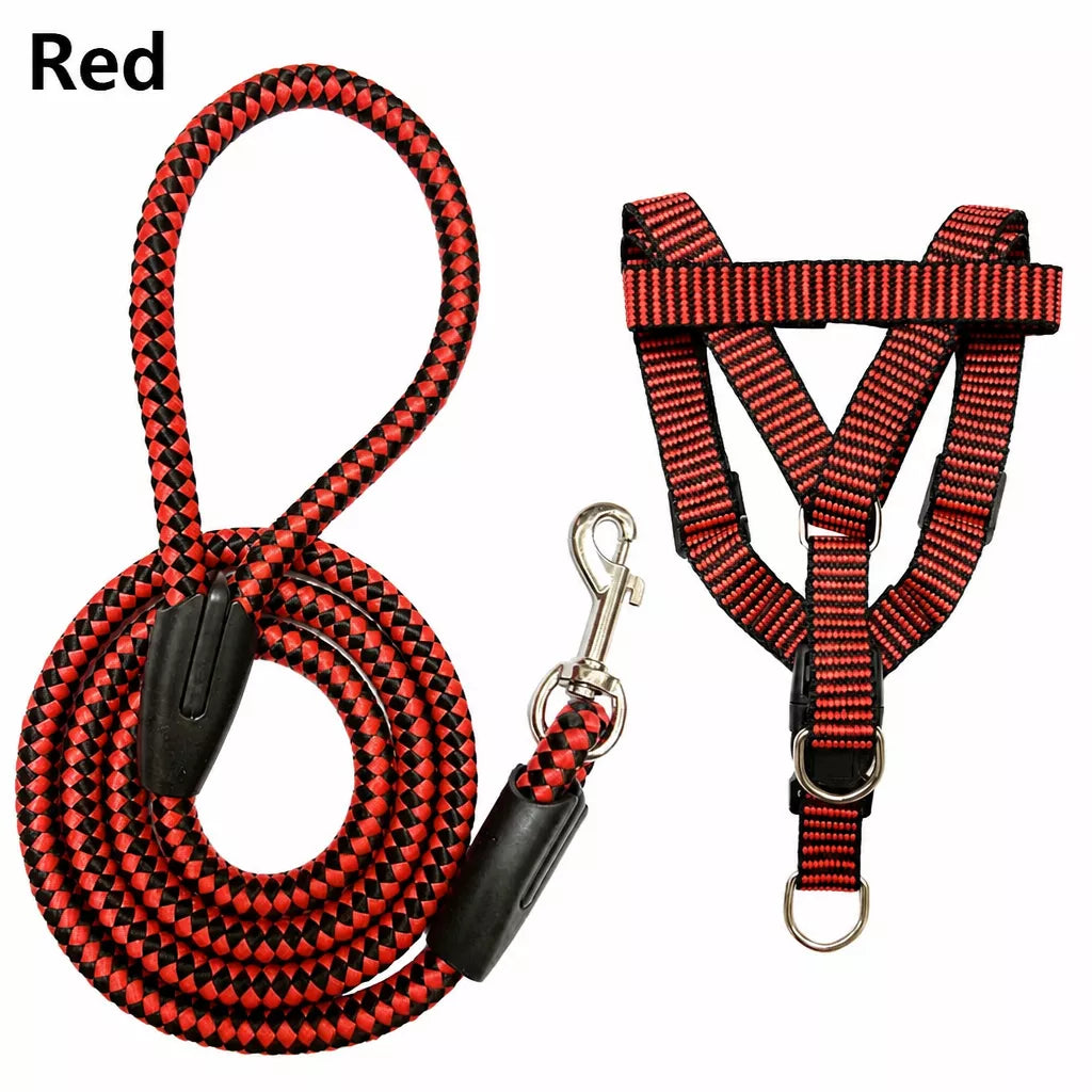 Adjustable Nylon Dog Harness and Leash Set