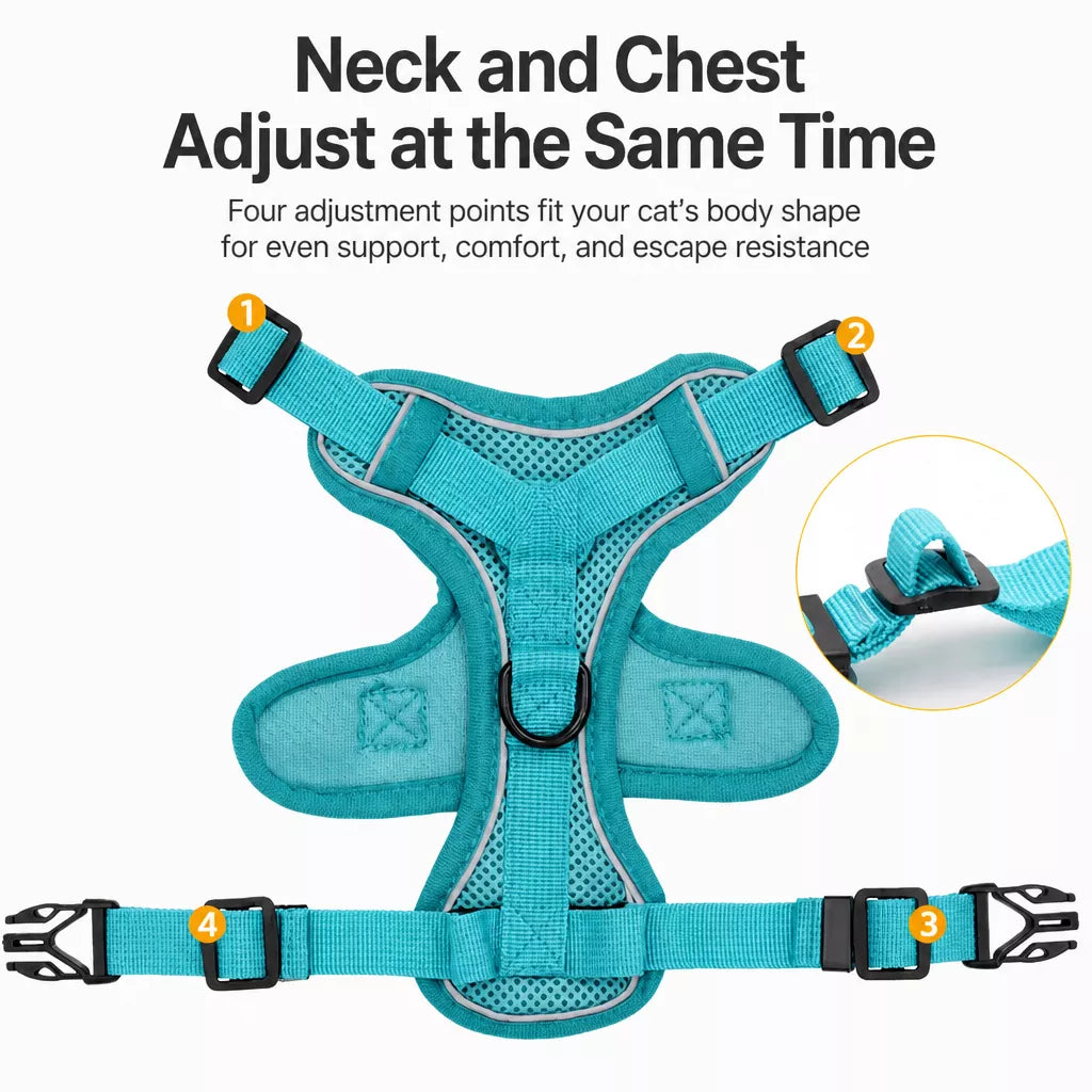 Cat Harness and Leash