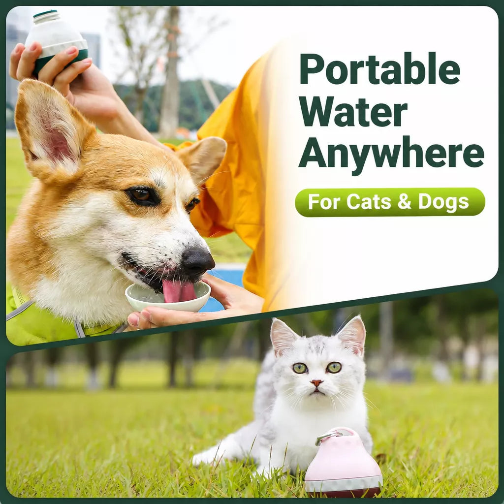 Portable Pet Water Bottle for Dogs and Cats