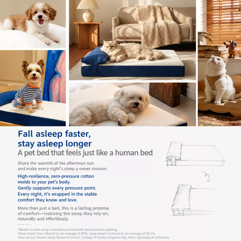 Memory Foam Pet Bed