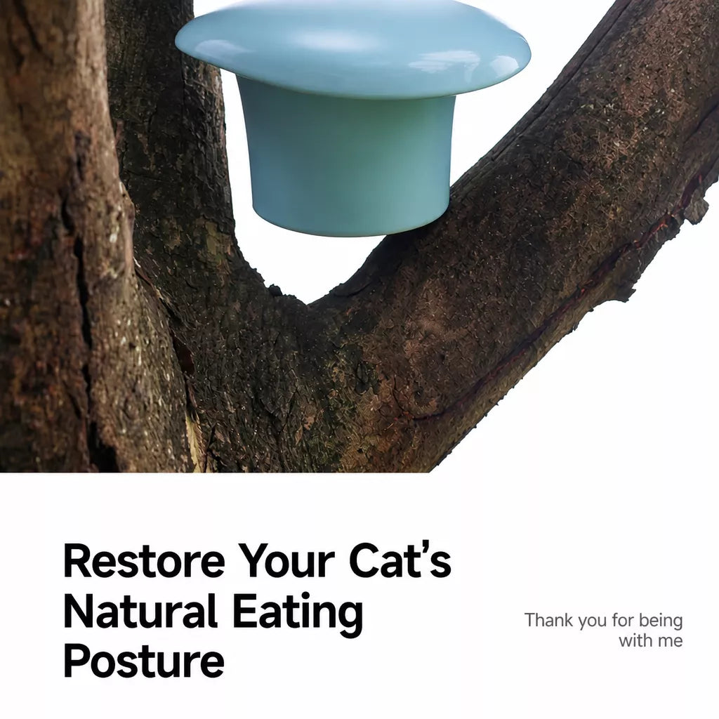 Fafa Ceramic Pet Bowl