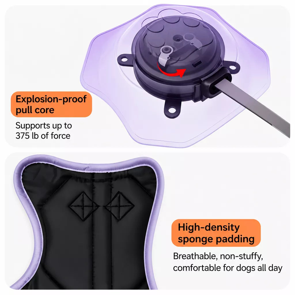 All-in-One Pet Vest Harness and Leash