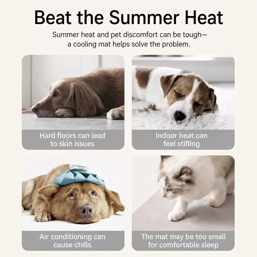 Foam Pet Mat for Cats and Dogs