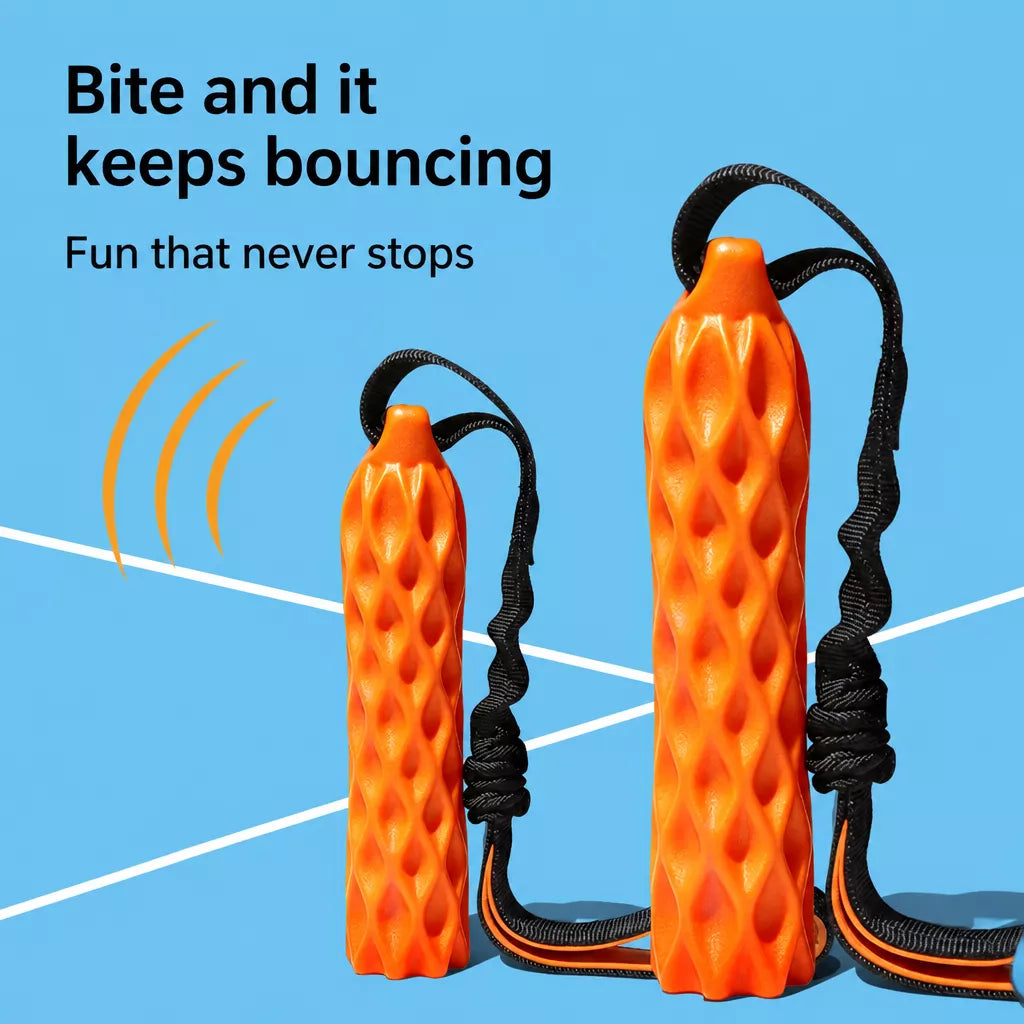 Textured Silicone Squeaky Tug Toy for Dogs