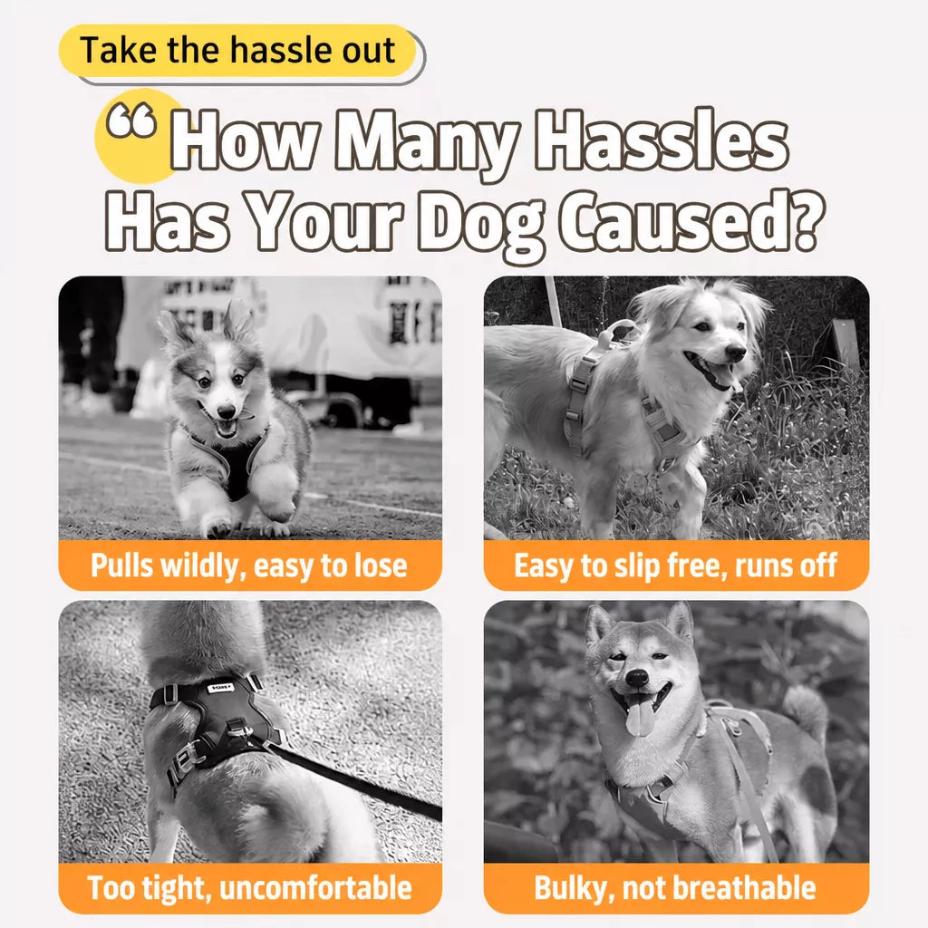 Pet Harness Vest and Hat Sets with Leashes