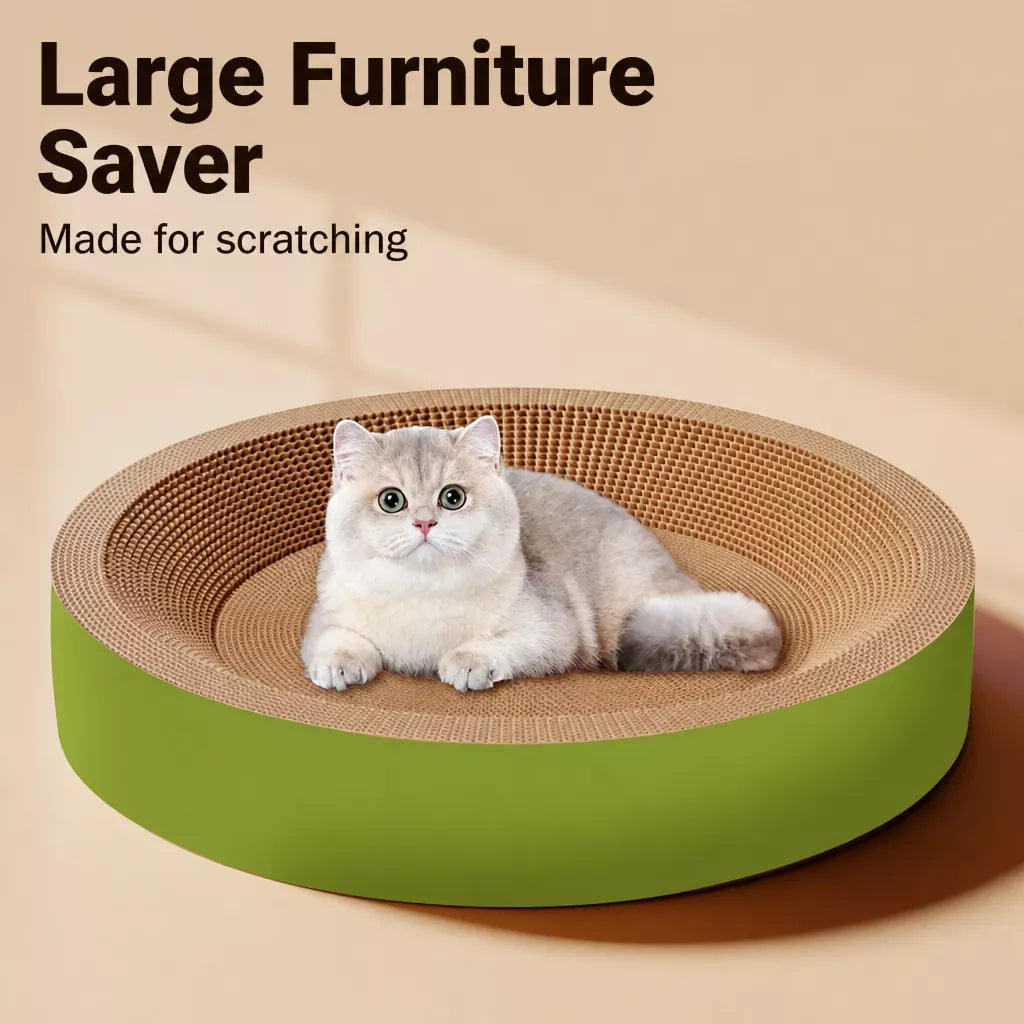 Cat Scratcher Bed with Integrated Lounger