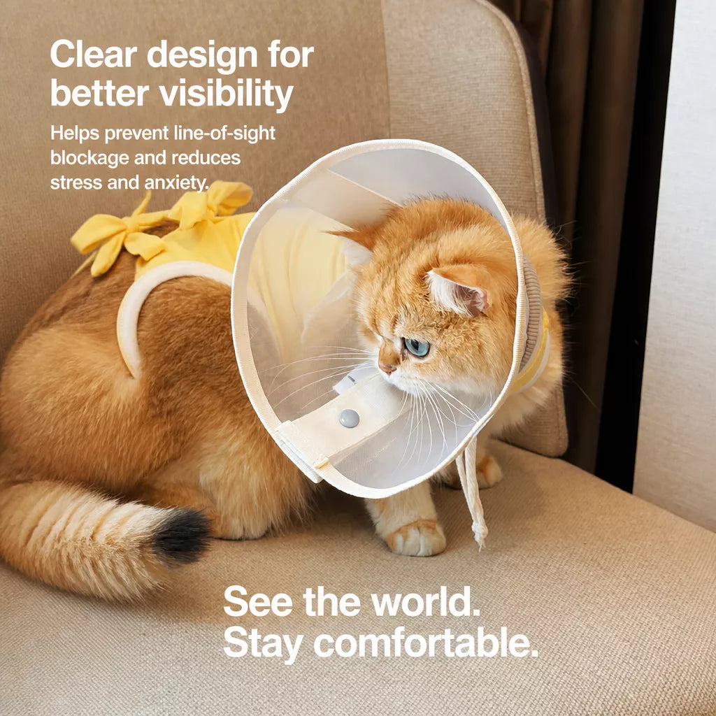 Lightweight Plastic Recovery Cone for Dogs and Cats