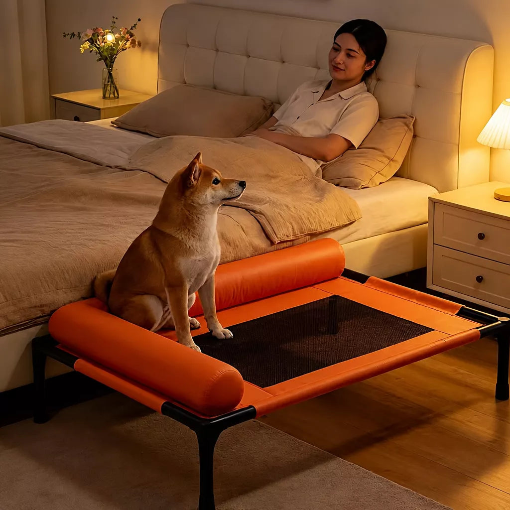 Raised Cot-Style Pet Bed for Small to Medium Dogs and Cats