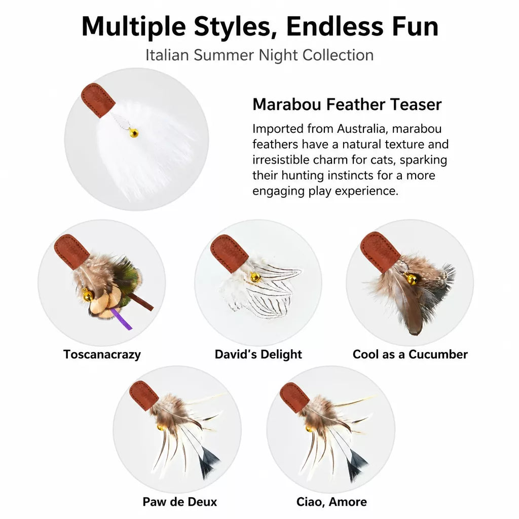 Retractable Cat Teaser Wand with Interchangeable Feather & Plush Heads