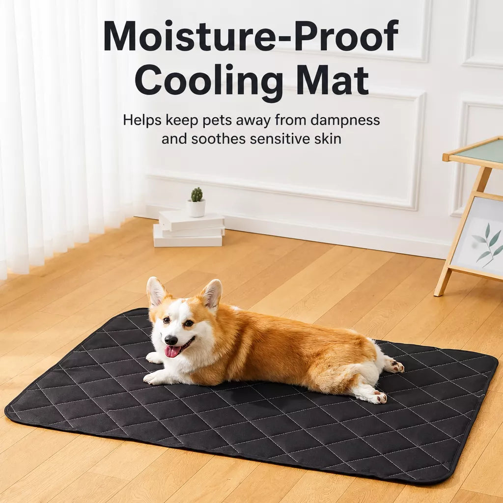 Foam Dog Crate & Floor Mat