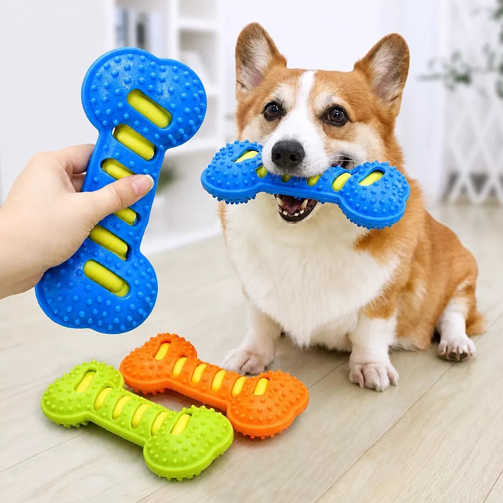 Double-Layer Squeaky Bone Toy for Large Dogs