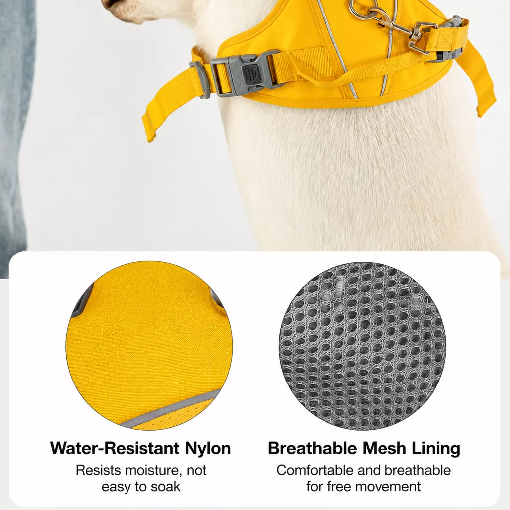 Lightweight Nylon Dog Harness and Leash Set