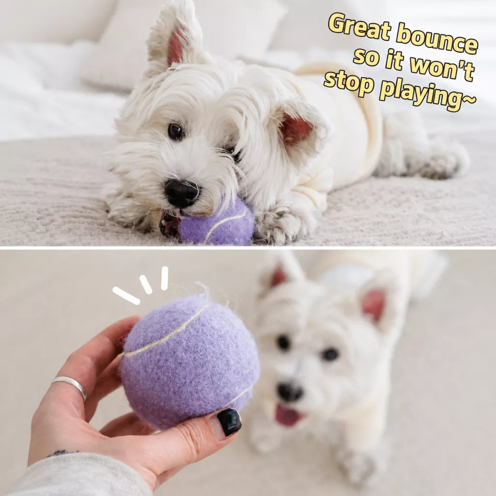 Ice Cream-Style Interactive Dog Ball with Storage Box