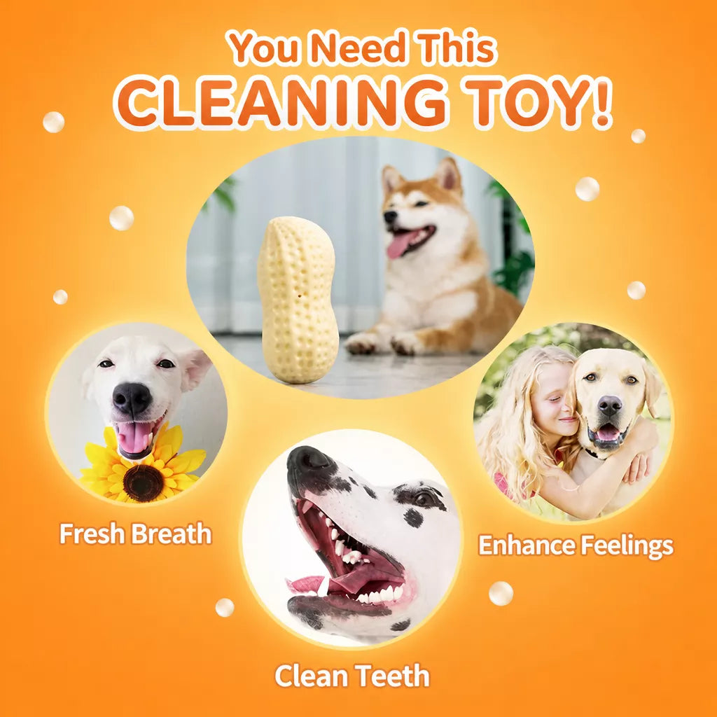 Peanut-Shaped Squeaky Dog Toy