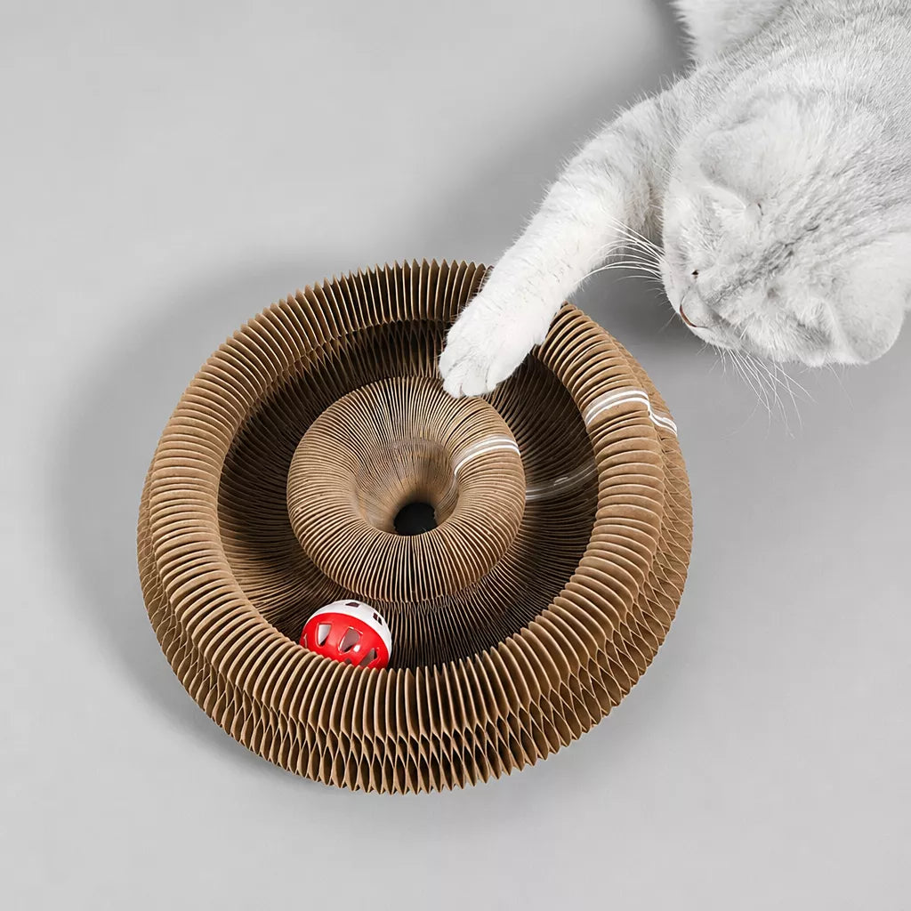 Foldable Accordion Cat Scratcher Toy with Bell