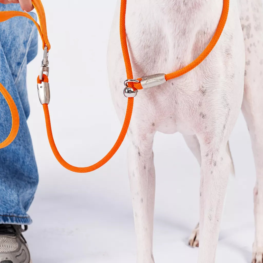 Integrated Slip Lead Dog Leash with Close-Control Handle