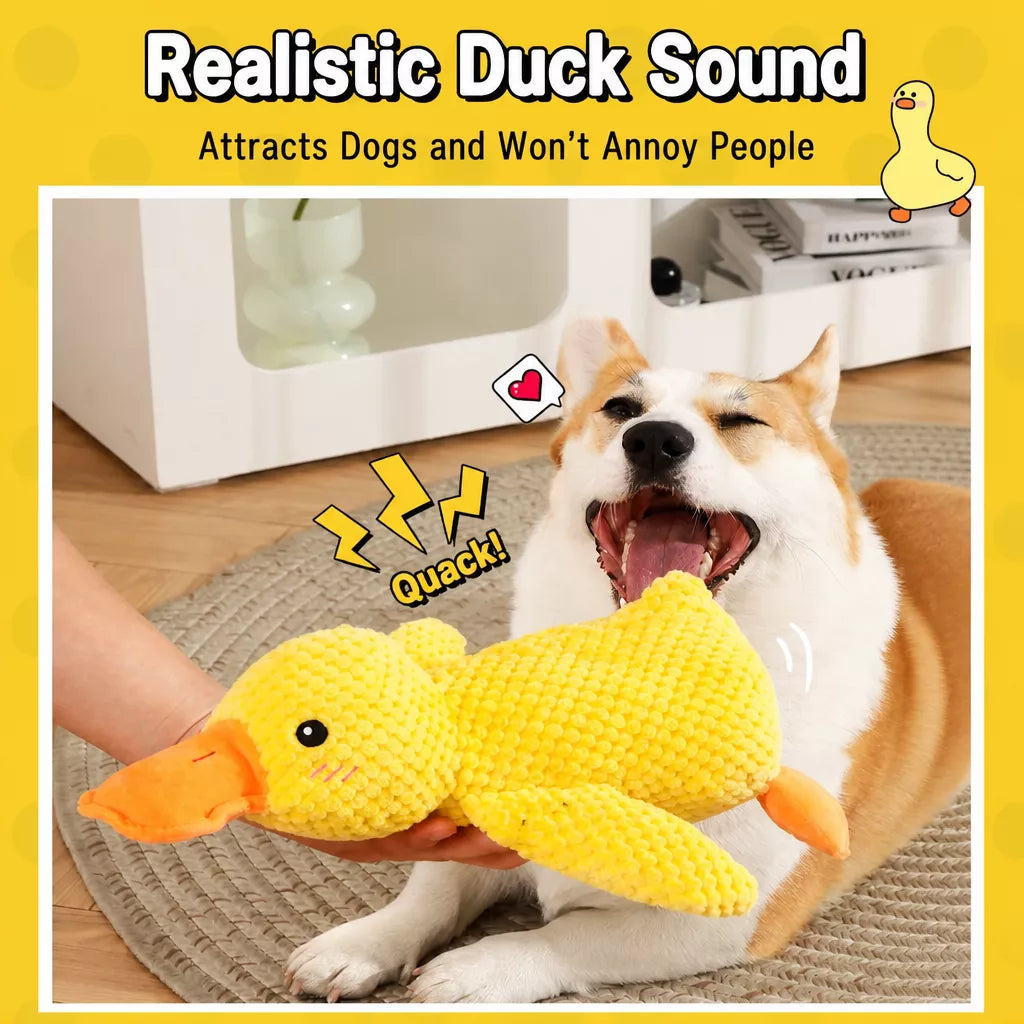 Plush Squeaky Dog Toy