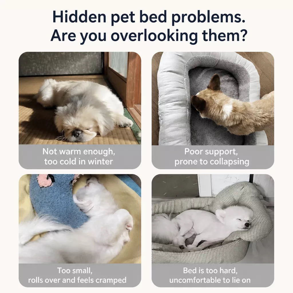 Covered Pet Bed for Dogs and Cats