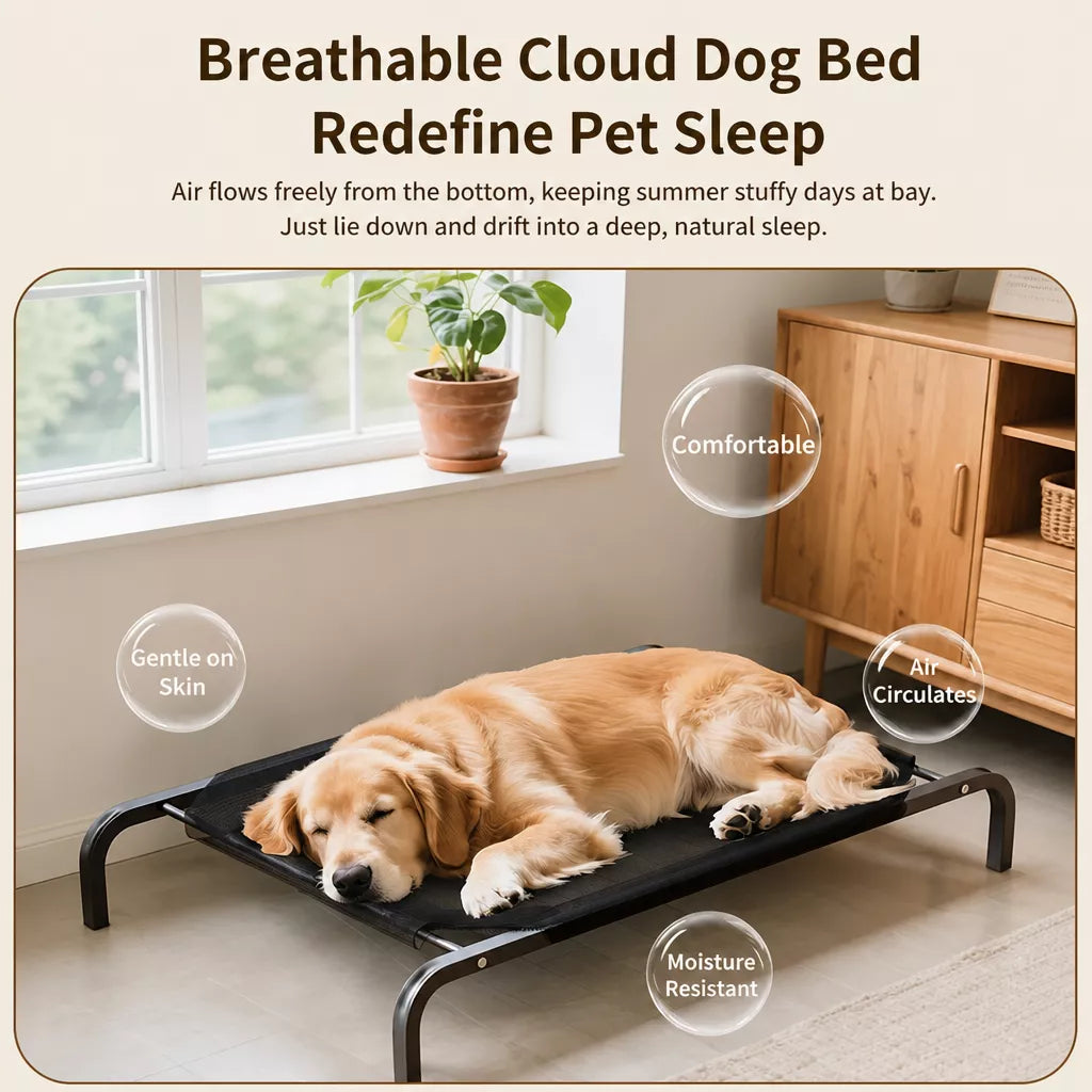 Elevated Mesh Dog Bed with Metal Frame