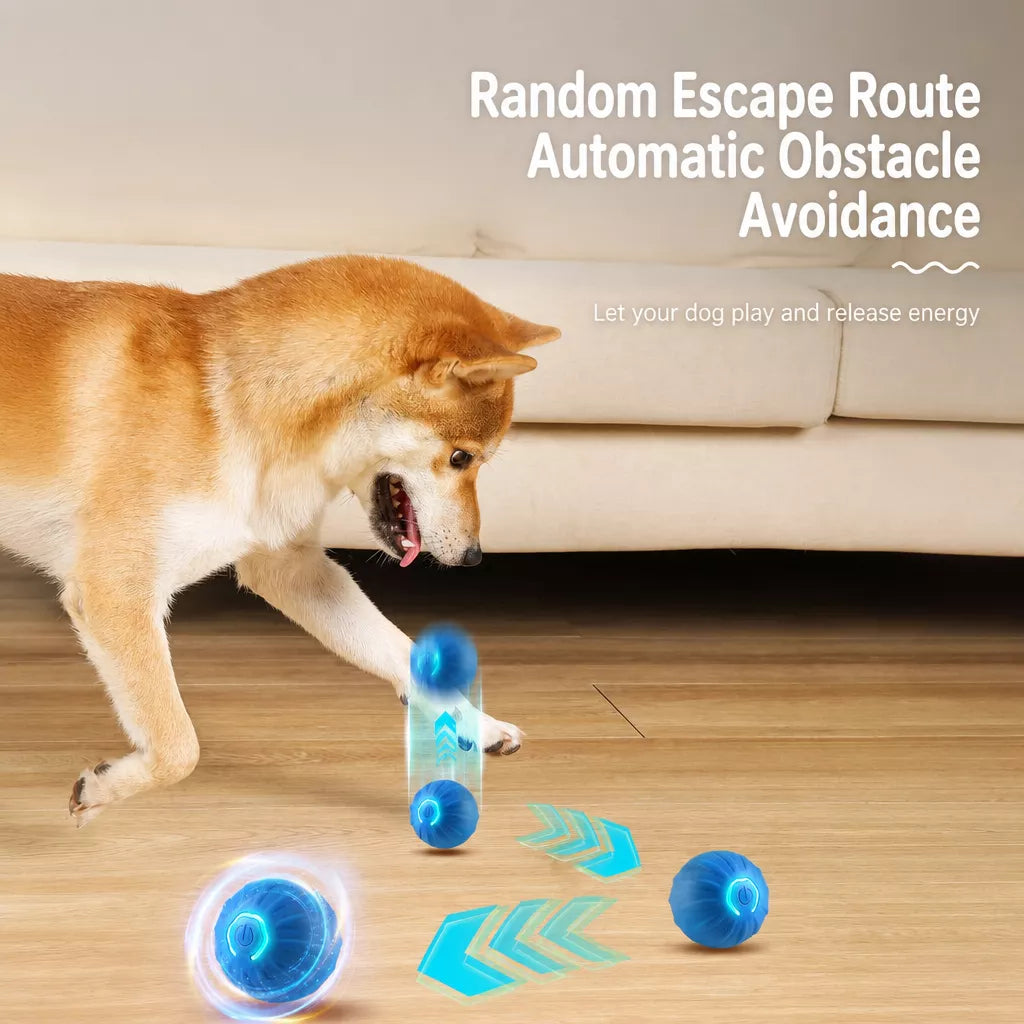 Interactive Electric Squeaky Bouncing Ball Toy for Dogs