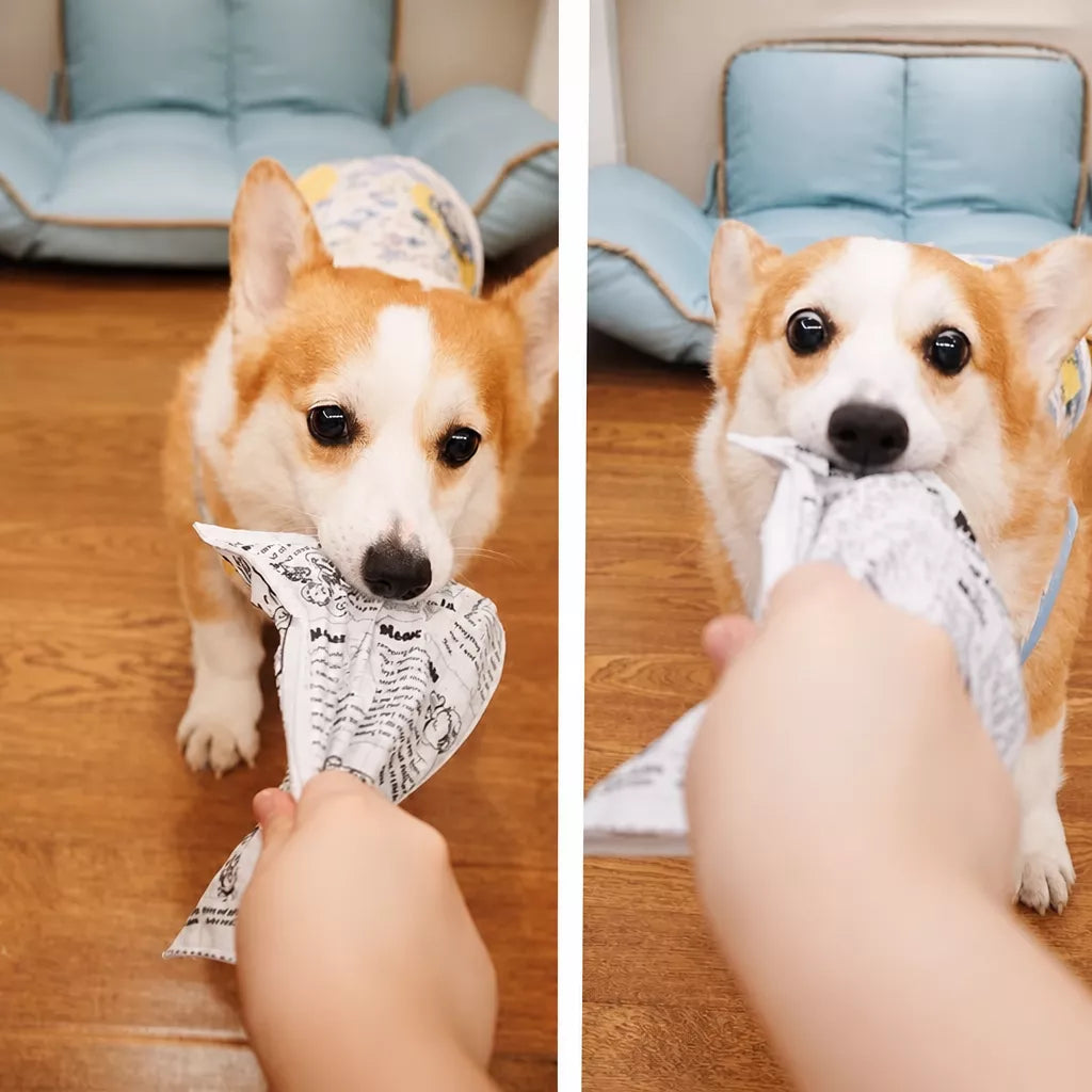 Squeaky Crinkle Dog Toy – Newspaper-Inspired Interactive Toy