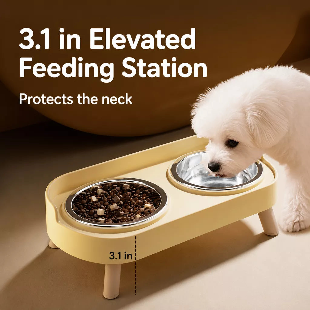 Double Dog Bowl Stand with Stainless Steel Bowls