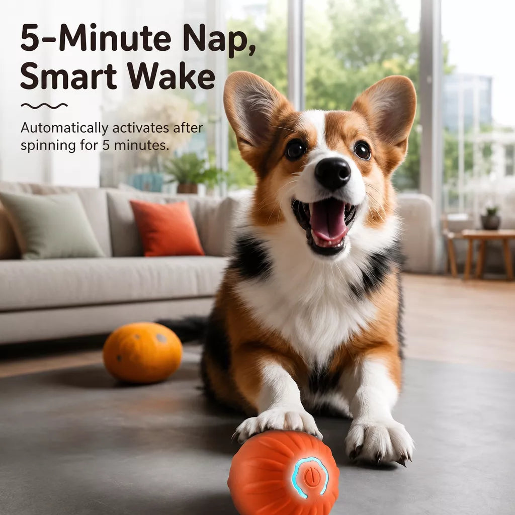 Interactive Electric Squeaky Bouncing Ball Toy for Dogs