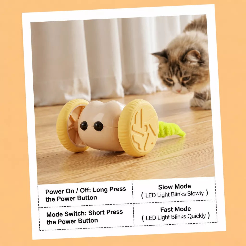 Rechargeable Interactive Cat Toy – Mouse & Car Designs