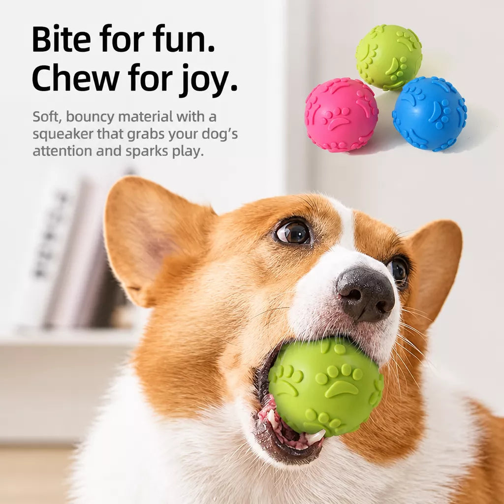 TPR Paw Print Squeaky Ball Dog Toy for Interactive Play