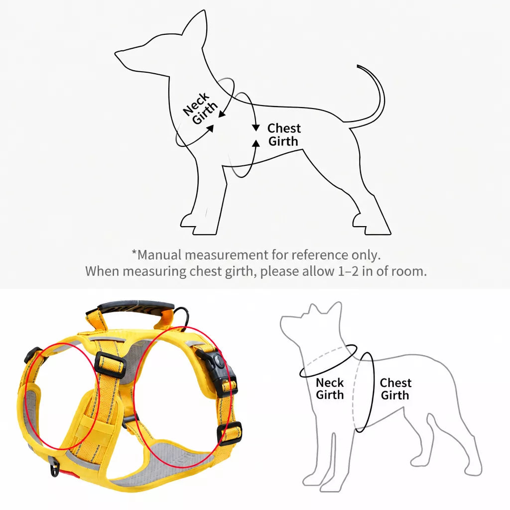 Dog Vest Harness and Leash for Everyday Walks