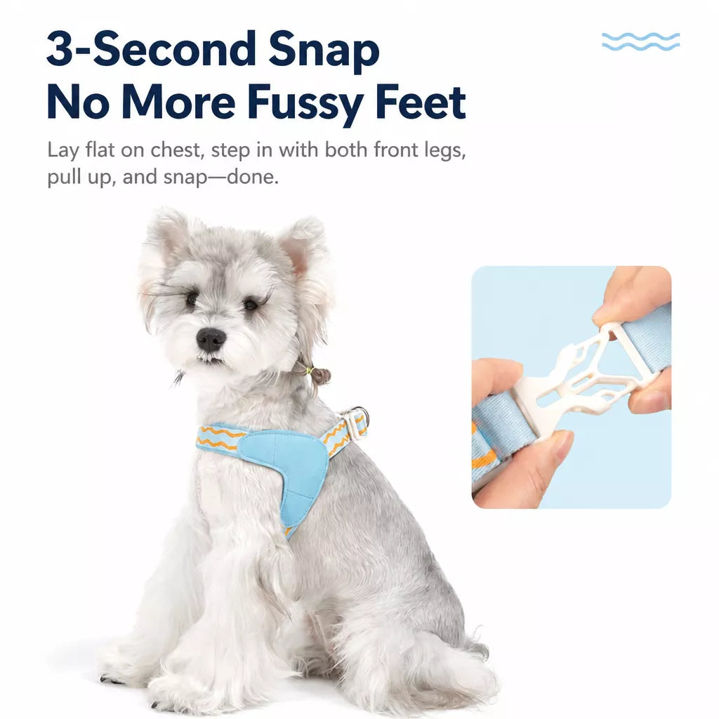 Y-Shaped Dog Harness and Leash for Small to Medium Dogs