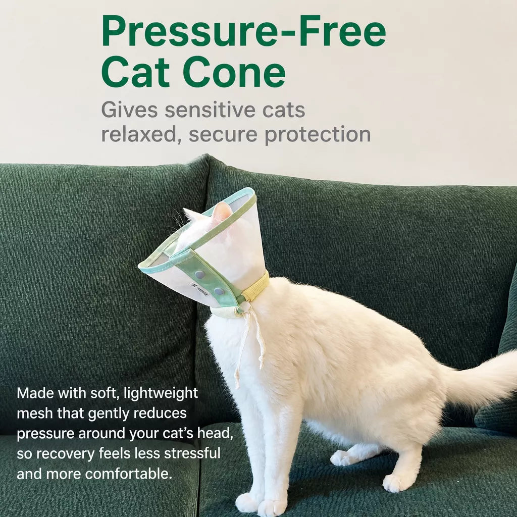 Lightweight Plastic Recovery Cone for Dogs and Cats