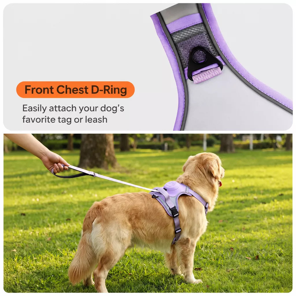 All-in-One Pet Vest Harness and Leash