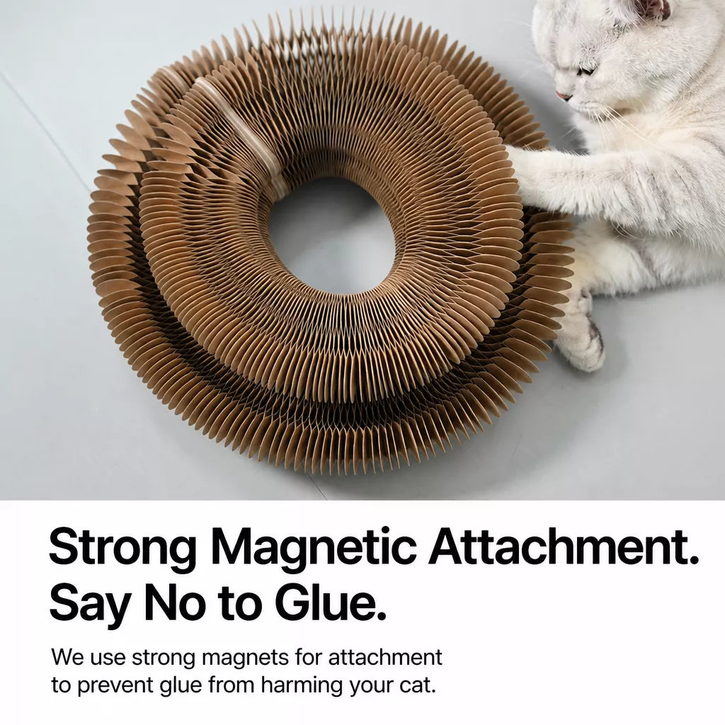 Foldable Accordion Cat Scratcher Toy with Bell
