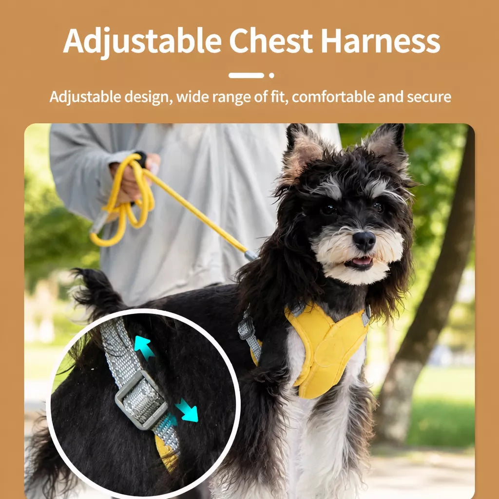 X-Style Pet Harness and Leash