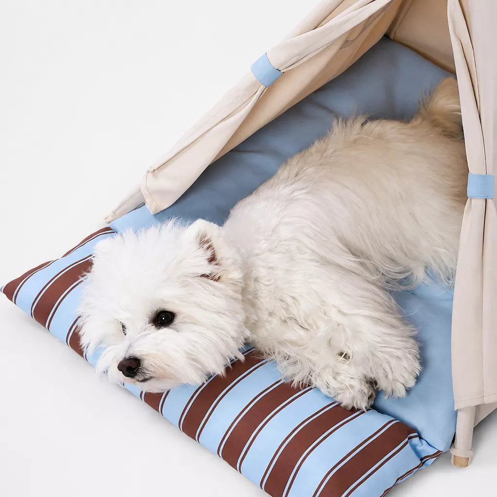 Semi-Enclosed Tent Bed for Small Dogs and Cats