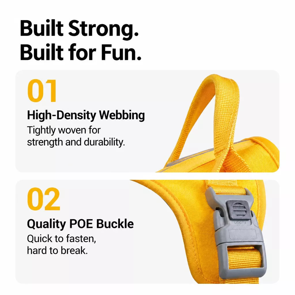Lightweight Nylon Dog Harness and Leash Set