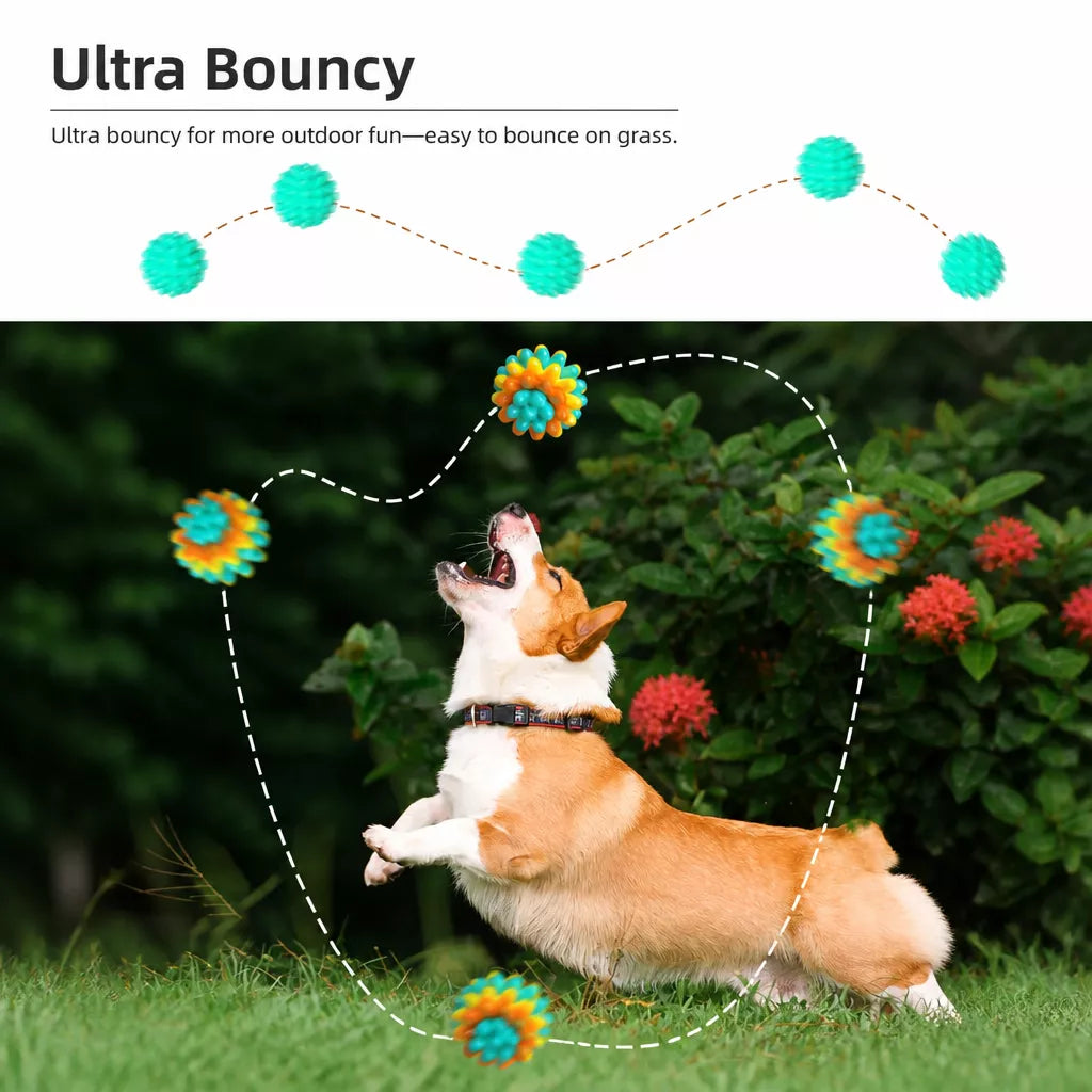 Dog Chew Ball Toy