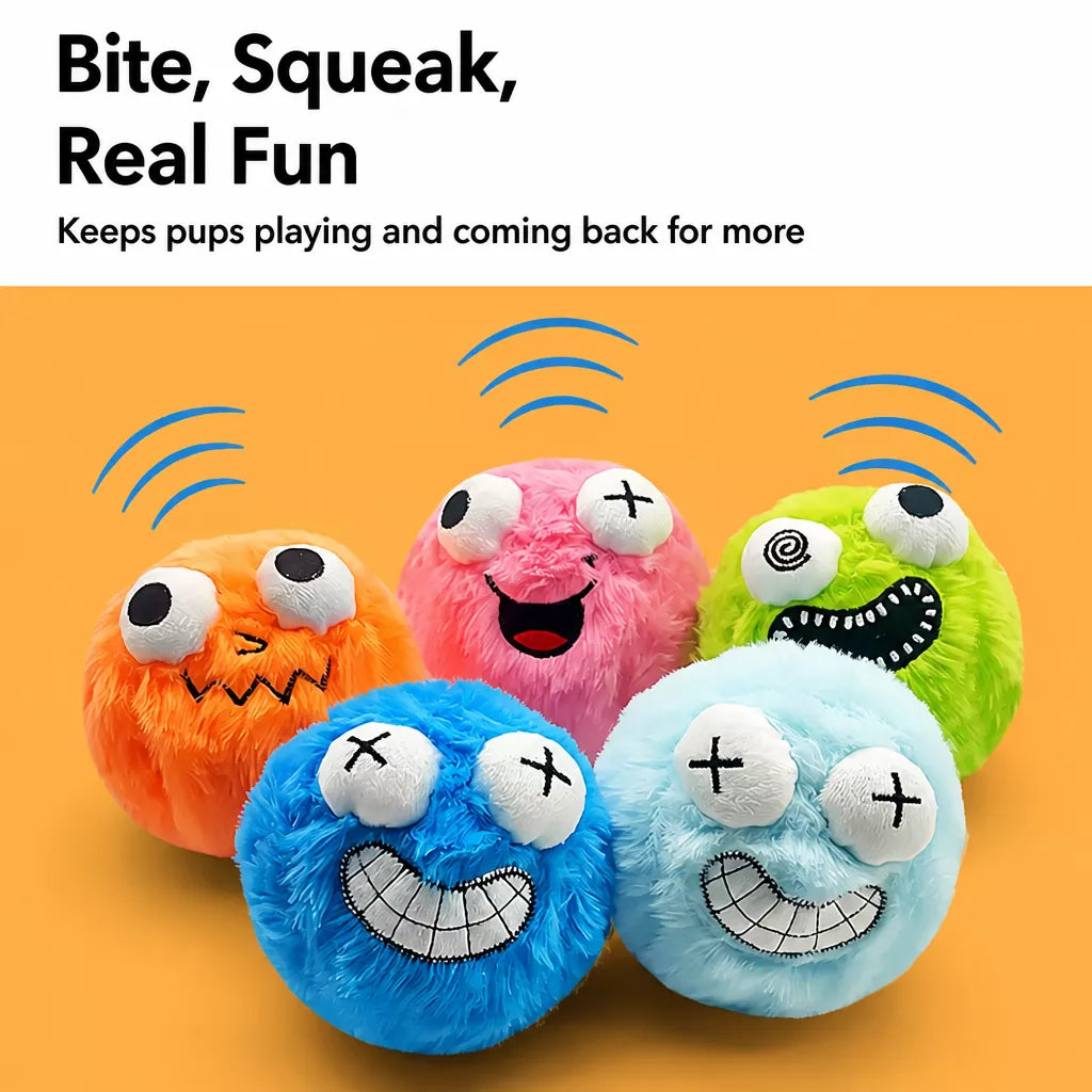 Plush Squeaky Ball Dog Toy