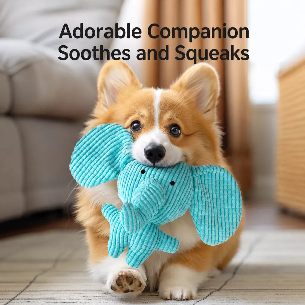 Squeaky Dog Toys with Balls, Rope Toys and Flying Discs