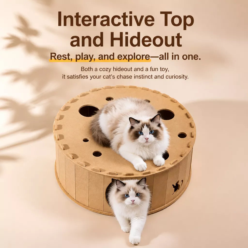 Donut Cat Scratcher Bed with Enclosed Tunnel