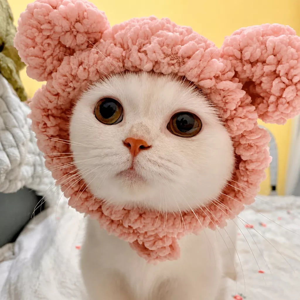 Pet Costume Hats for Dogs and Cats
