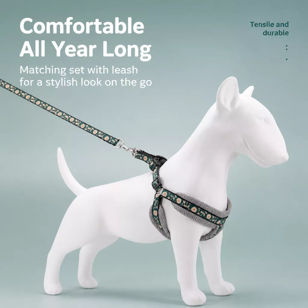 Small Dog Vest Harness and Leash