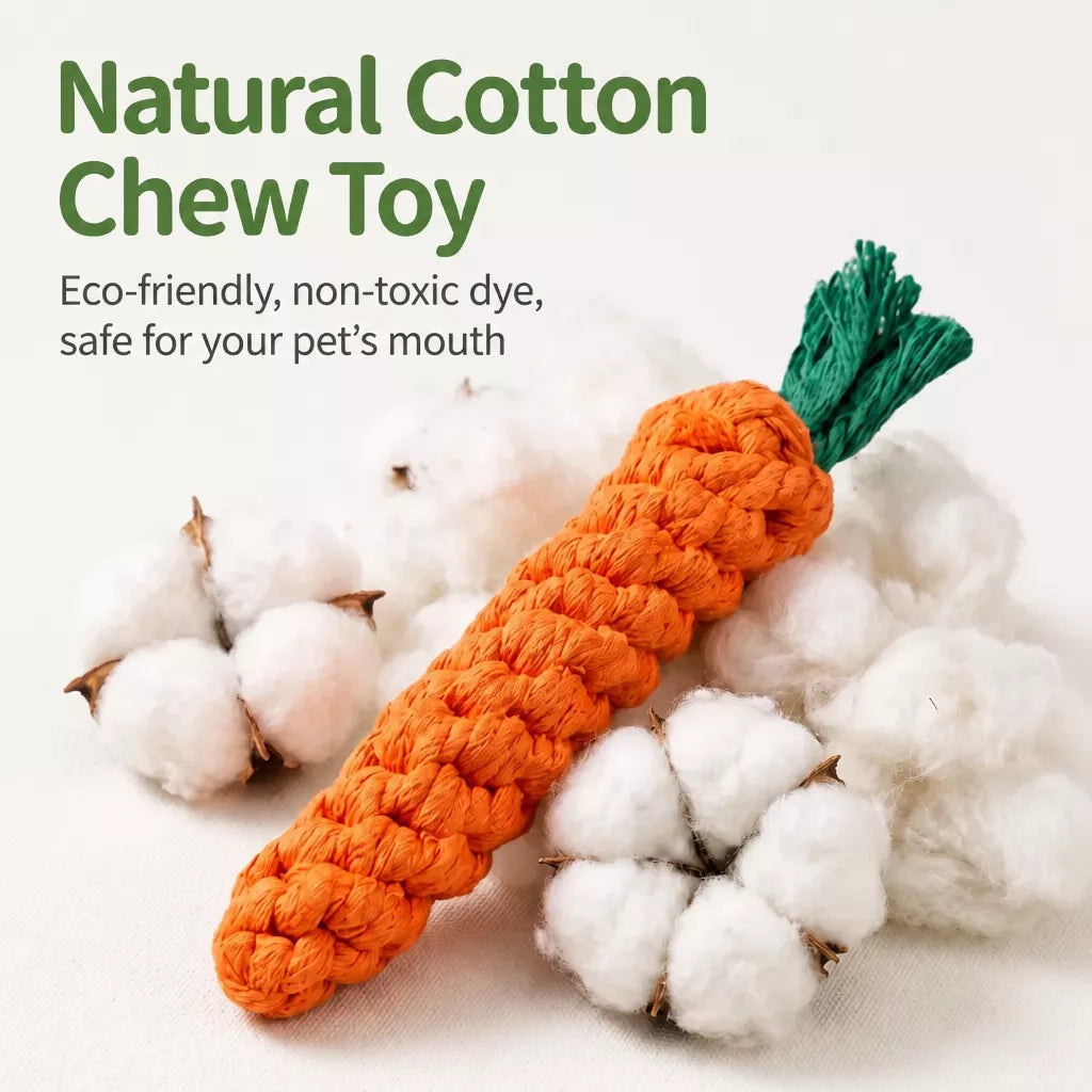 Interactive Dog Toys for Small to Medium Dogs – Tug & Squeaky
