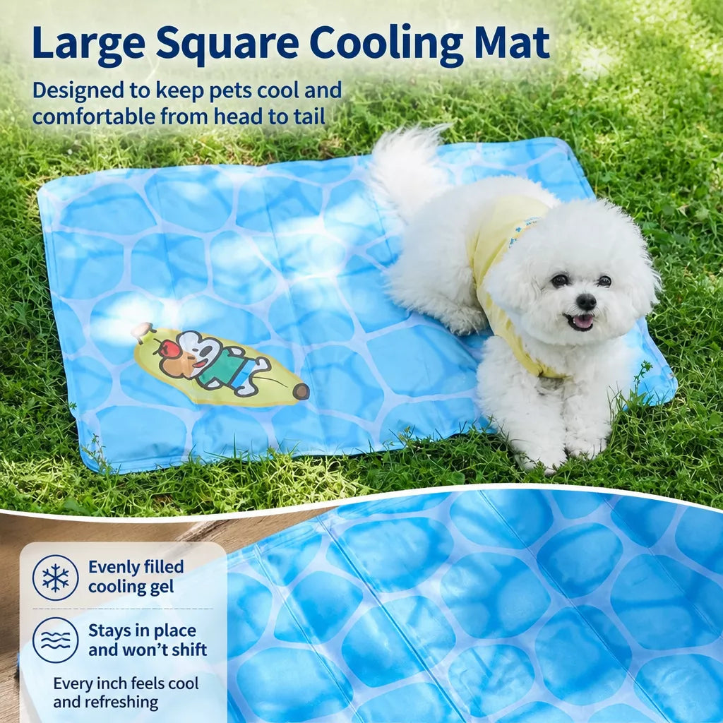 Blue Square Dog Mat